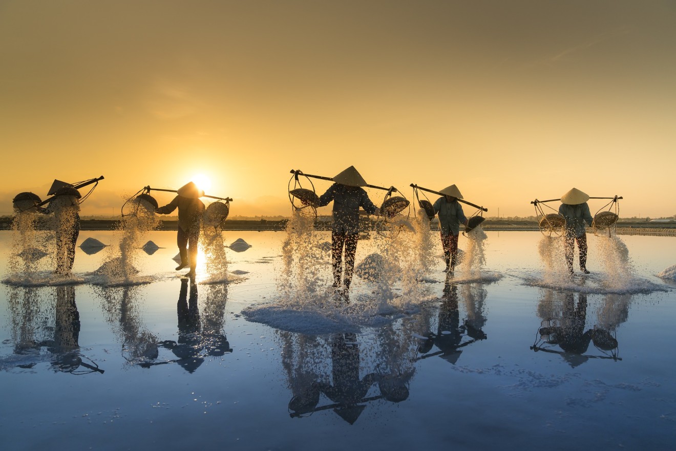 Salt harvesting, Vietnam